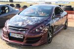  307,       Van Helsing