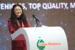      Great Wall Motor -    